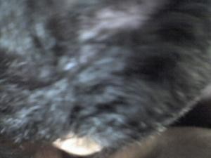 2009-01-26-046.jpg