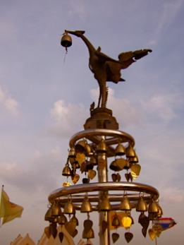 Yangon-Oiseau-de-feu.png