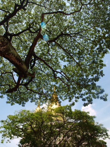 Monastere-de-Kong-Meng--Entre-les-arbres-bis.jpg