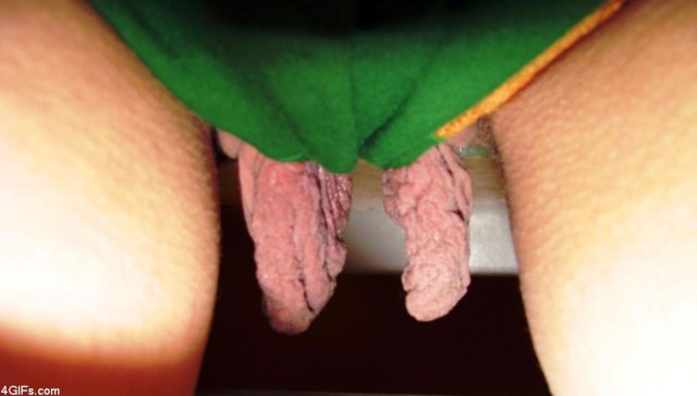 4GIFs com01