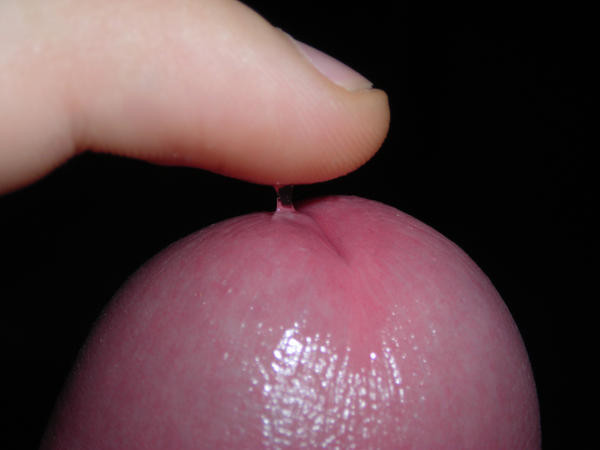 DSCN1240.JPG
