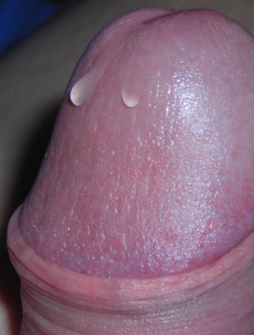 DSCN1302.JPG