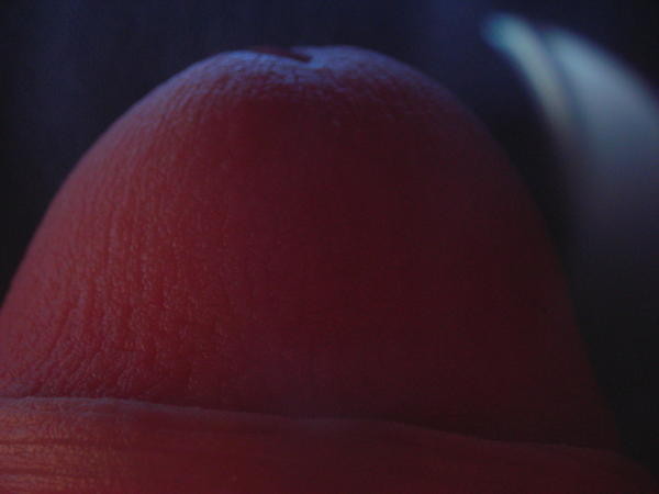 DSCN1352.JPG