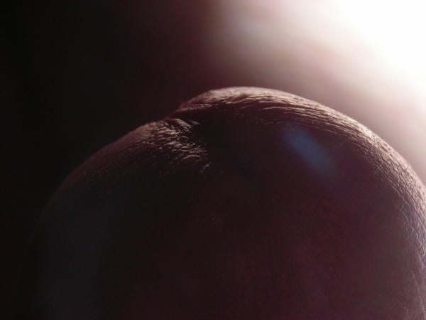 DSCN1356.JPG
