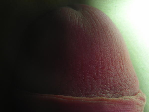 DSCN1607.JPG