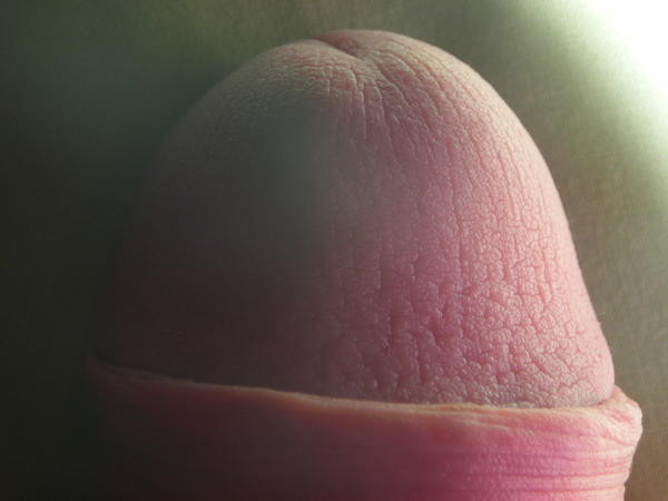 DSCN1608.JPG