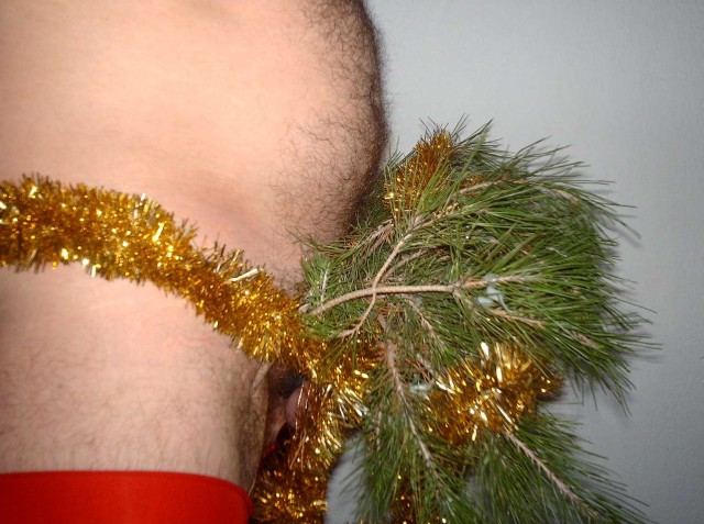 CITRONNELLE sapin2