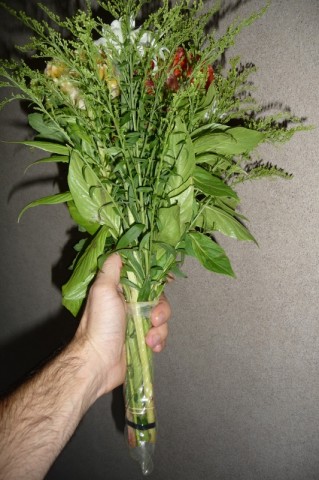 pongo_bouquet04.jpg