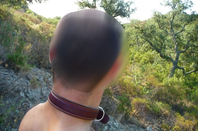 pongomaquis2.jpg
