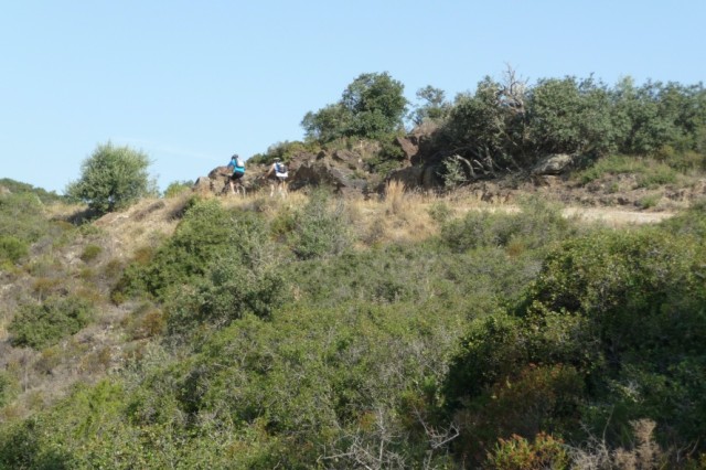 pongomaquis4.jpg