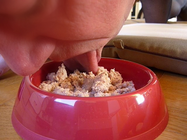 P1000346-1-.jpg