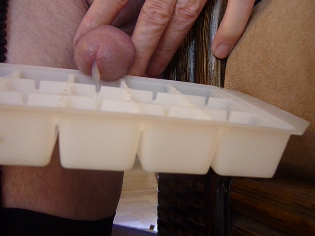 P1000348-8-.jpg