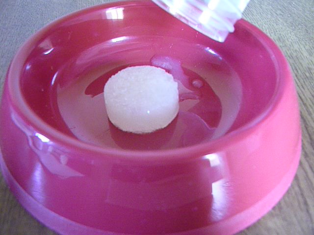 P1010057 CUT(3)
