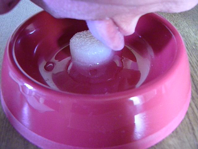 P1010057 CUT(4)