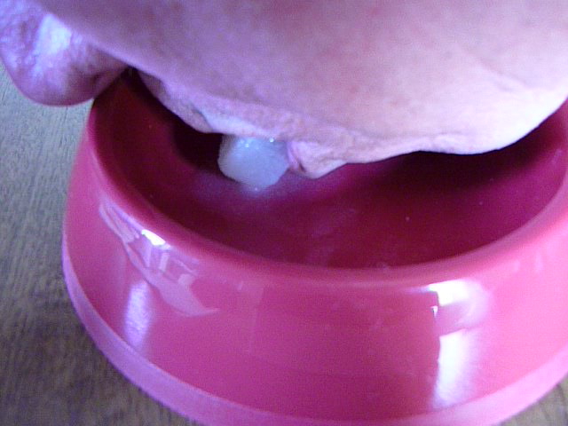 P1010057 CUT(5)
