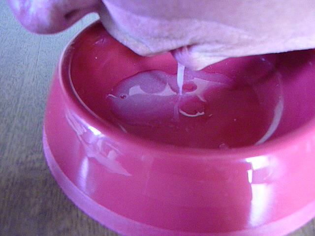 P1010057 CUT(6)