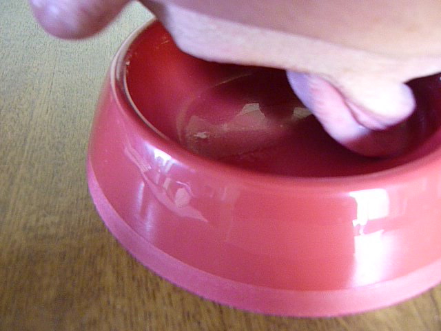 P1010057 CUT(9)