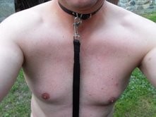 chien1.jpg