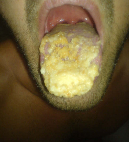 biscotte_-08-.jpg
