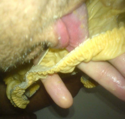 biscotte_-09-.jpg