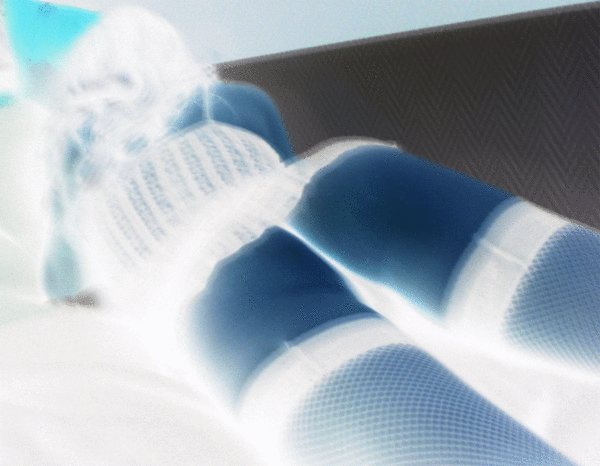 IMGP16091n.gif