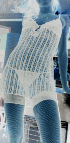 IMGP1637n.gif