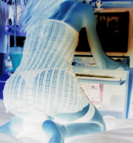 IMGP1658n.gif