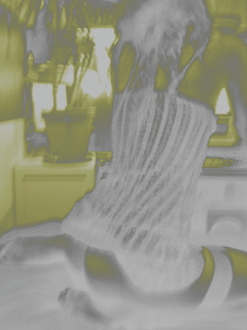 IMGP1673.gif