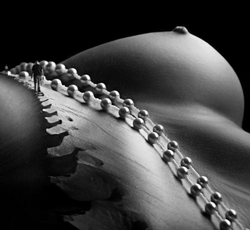 Body-Sexy-005.jpg
