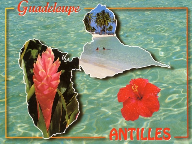 Gwada-001-Erog.jpg
