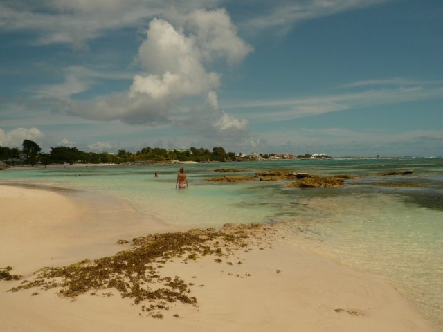 Gwada-060-Erog.jpg