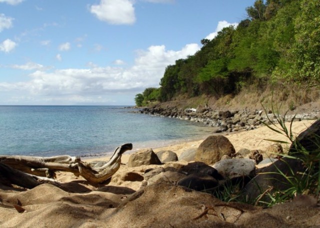Gwada-061-Erog.jpg
