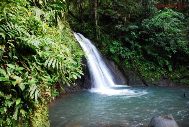 Gwada-068-Erog.jpg