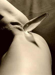Girls-Xobjet-007.jpg