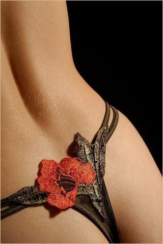 Lingere-012-Erog.jpg