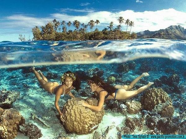 Tahitienne-Sous-la-Mer.jpg