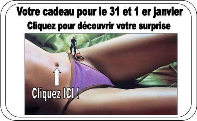 Bonnes fêtes de fin d'année