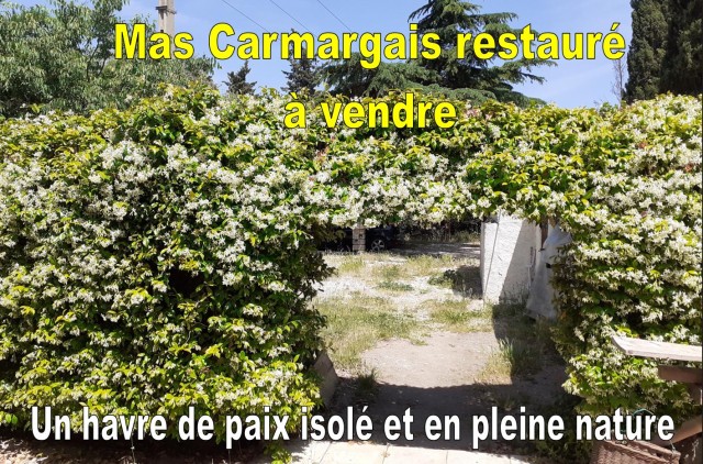 Mas Carmargais restauré à vendre