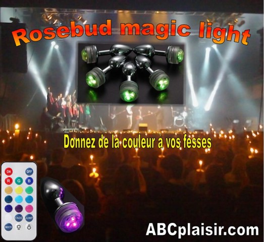 Rosebud magic light (1)