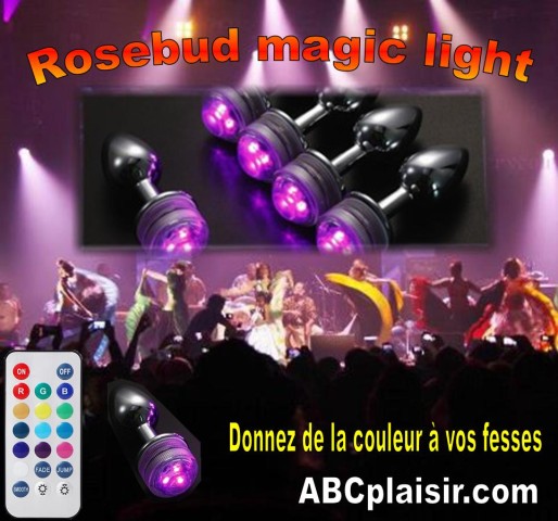 Rosebud magic light (2)