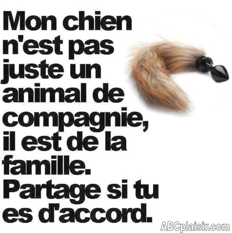 chien dog animalisation (3)