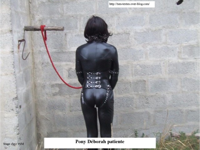 Rencontre BDSM fr  21.jpg