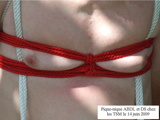 shibari 43.jpg