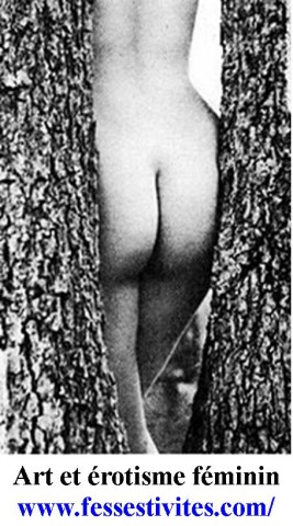 Art érotisme féminin arbre fesses