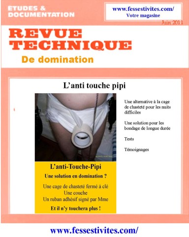 Revue technique de domination COUCHE