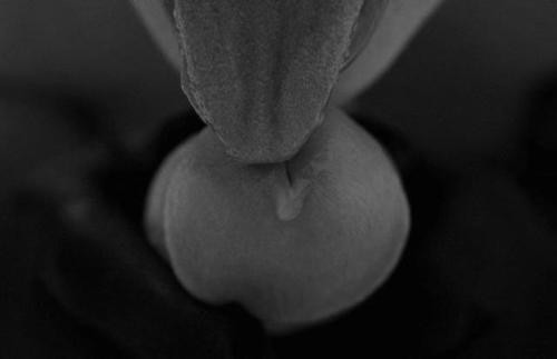 tumblr ldfnbtJcpC1qefr66o1 500