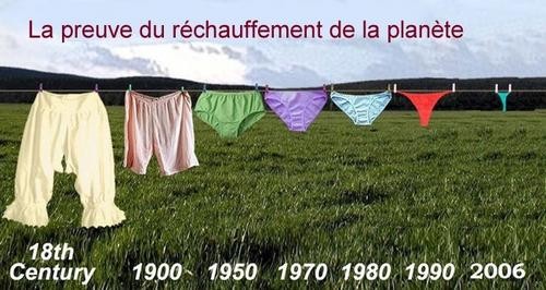 PetiteCULOTTEhist.jpg