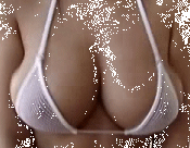 SEINSC.gif