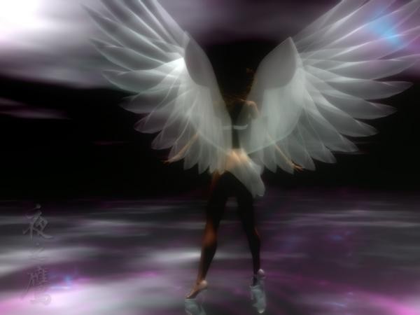 angel.jpg
