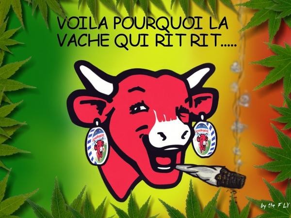 vache-qui-fume.jpg